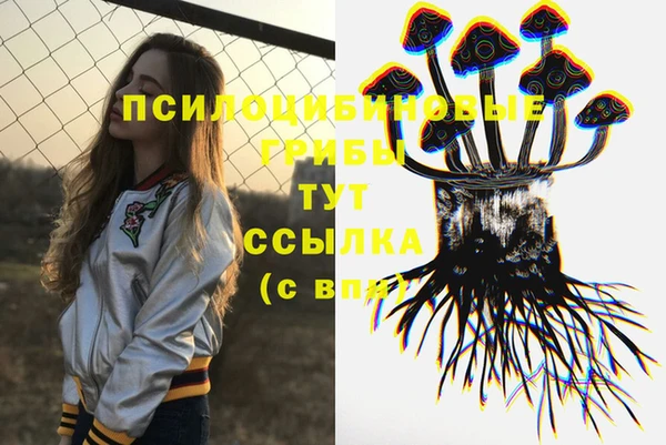 MESCALINE Алзамай