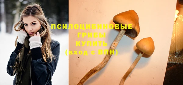 MESCALINE Алзамай