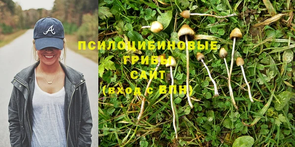 молекула духа Алексин
