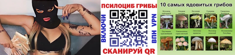 Галлюциногенные грибы MAGIC MUSHROOMS  Купить  Верхняя Пышма 