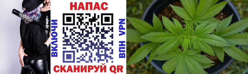 Бошки Шишки SATIVA & INDICA  Купить закладки  Верхняя Пышма 